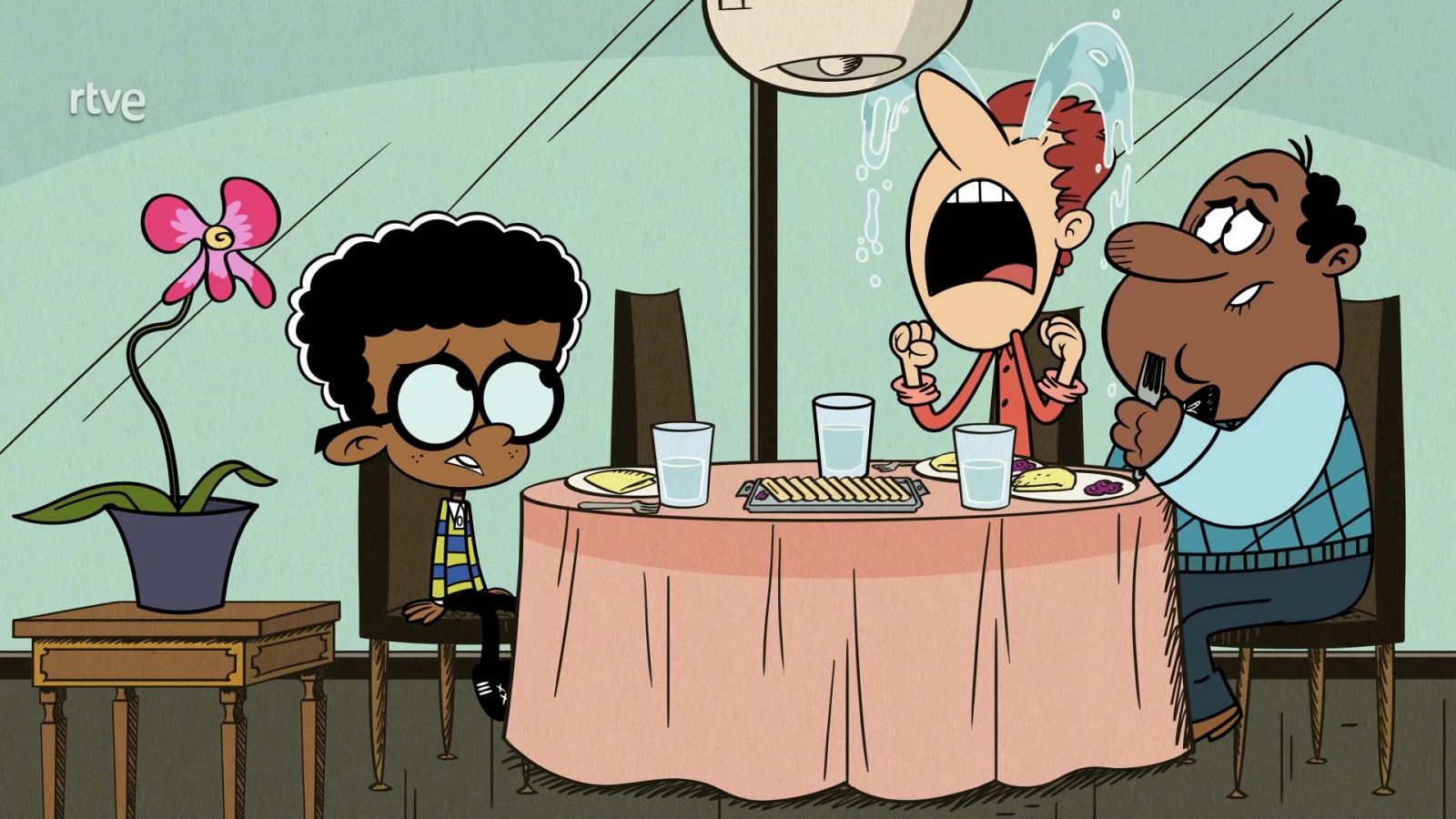 El marrón de las orquídeas - Una casa de locos | Ver