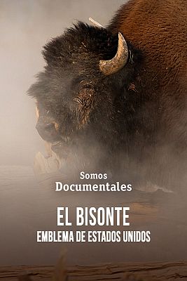 Somos Documentales - El bisonte, emblema de Estados Unidos