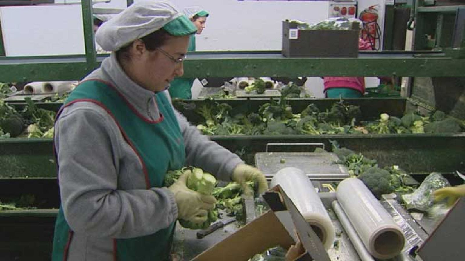 En España cada año se desperdician cerca de 8 toneladas de alimentos