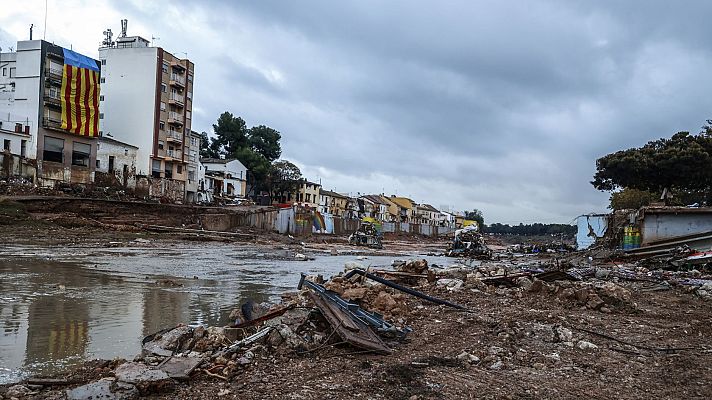 La tarde en 24h - La tarde en 24 horas - 13/11/24