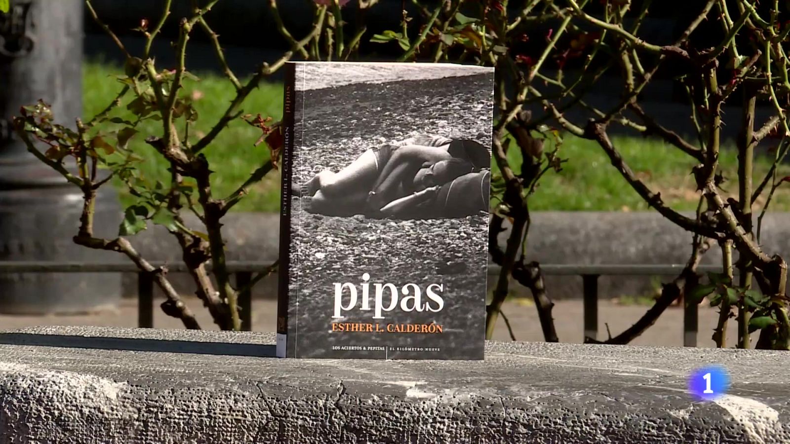 Informativo Telerioja 2 - 14-11-2024 - Informativo Telerioja | Ver