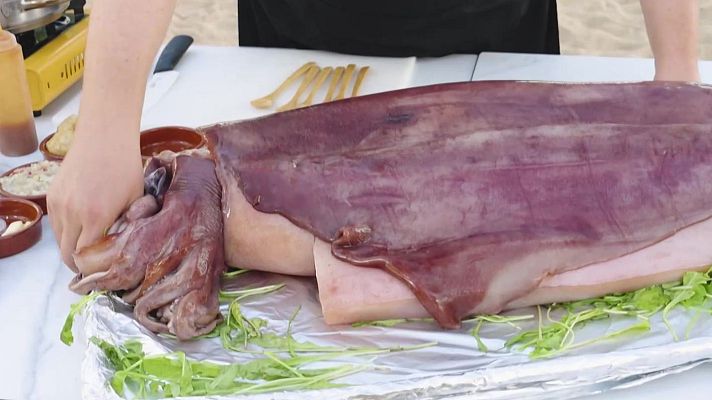 Aquí la Tierra - Calamar diamante