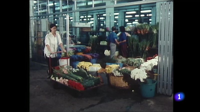 El Mercat Central de la Flor fa 40 anys - L'Informatiu | Veure