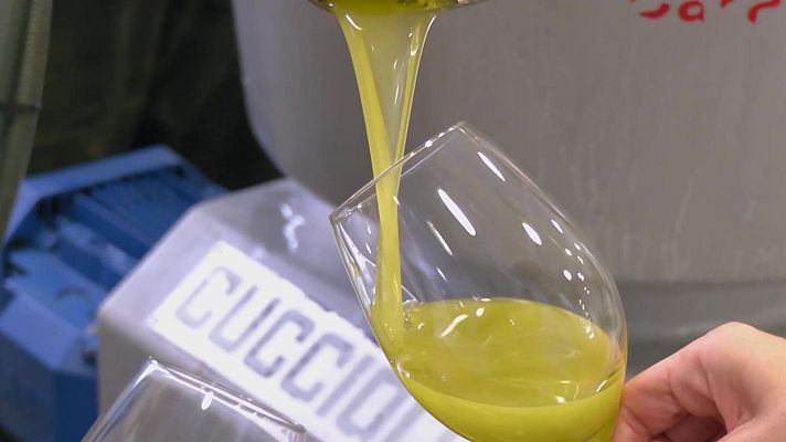 Aquí la Tierra - Oliva de Carabaña