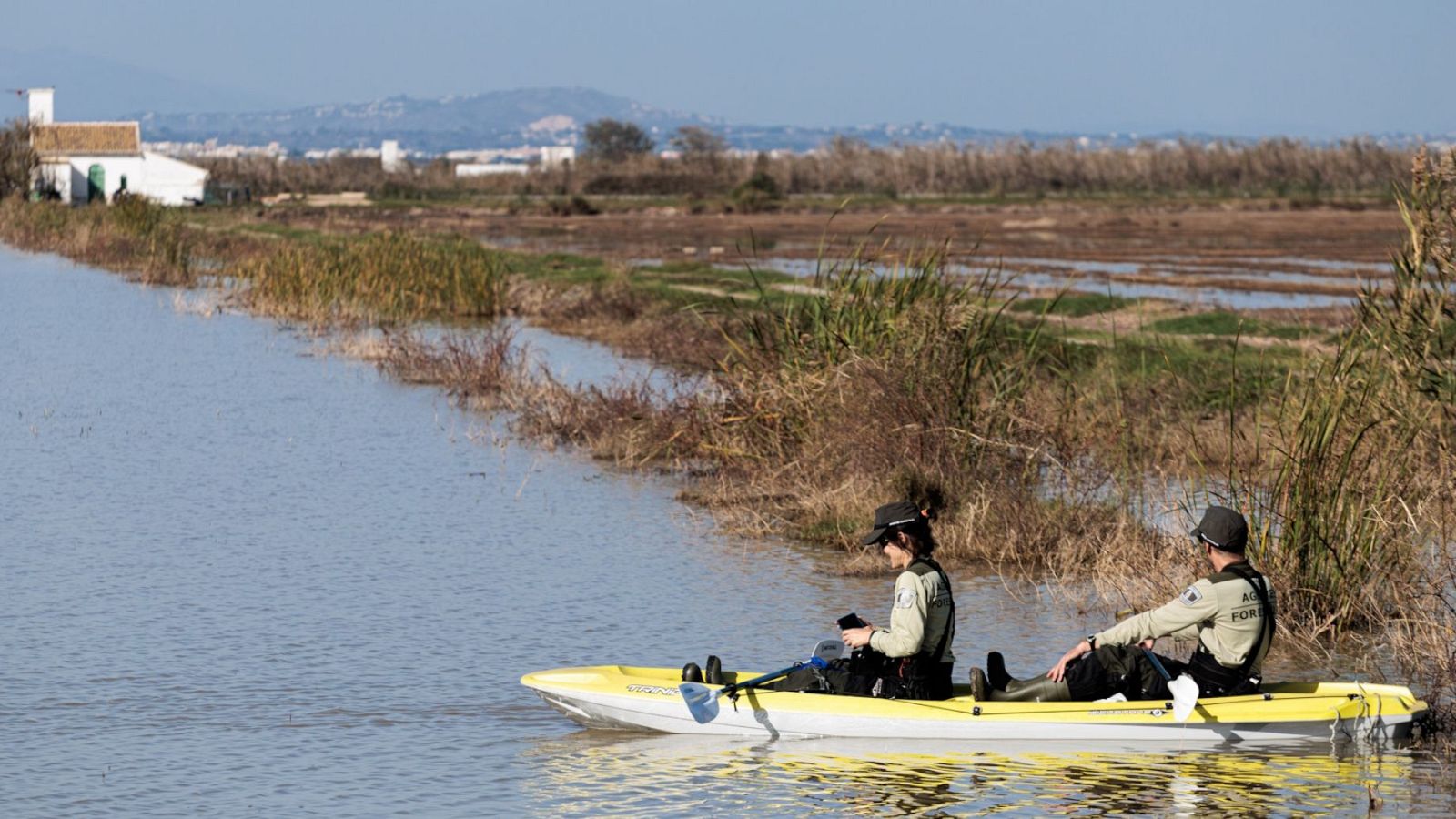 Informativo 24 horas - 20h - 17/11/24 - ver ahora