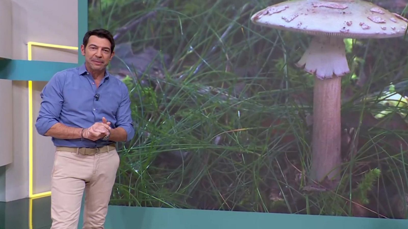 Aquí la Tierra - 17/11/24 - ver ahora