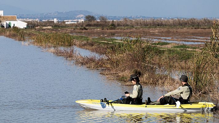Telediario Fin de Semana - Telediario - 21 horas - 17/11/24