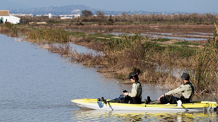 Telediario en lengua de signos - Telediario - 21 horas - 17/11/24 - Lengua de signos