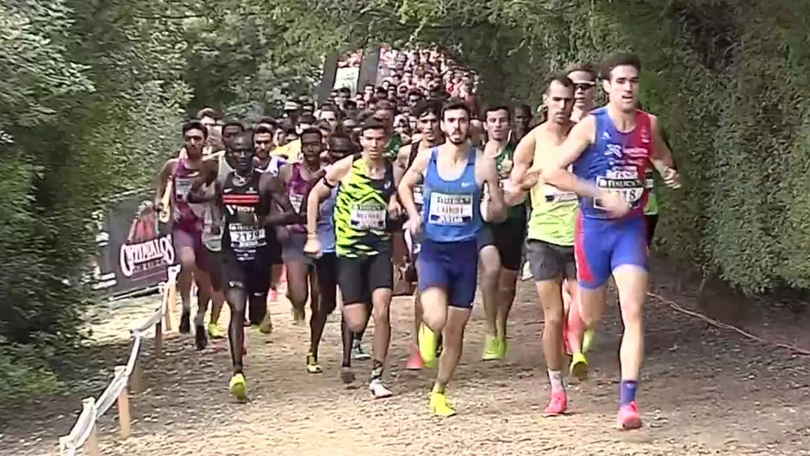 Atletismo - Cross Internacional de Itálica Carrera Masculina - ver ahora