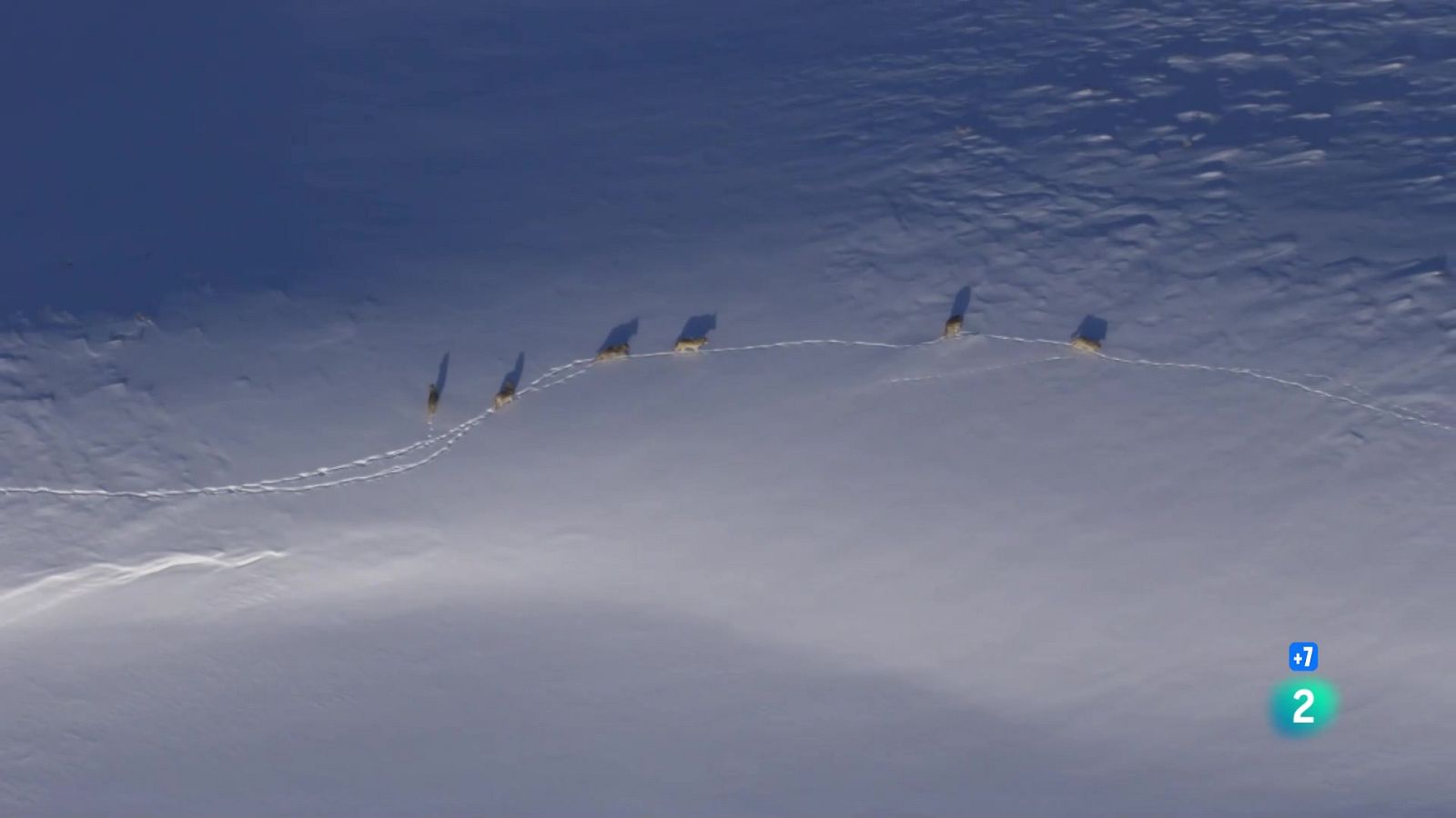 Grans Documentals - Viure en manada - Veure ara