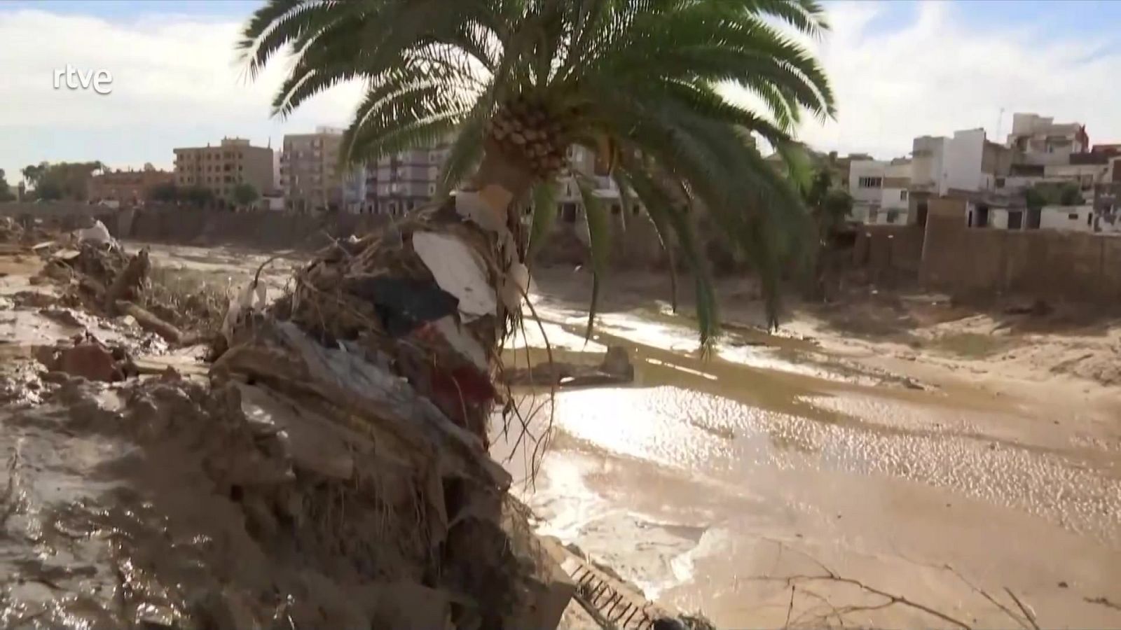 Gestión política de la DANA | Ver