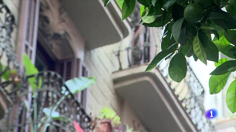 El preu del lloguer d'habitacions es dispara - L'Informatiu | Veure