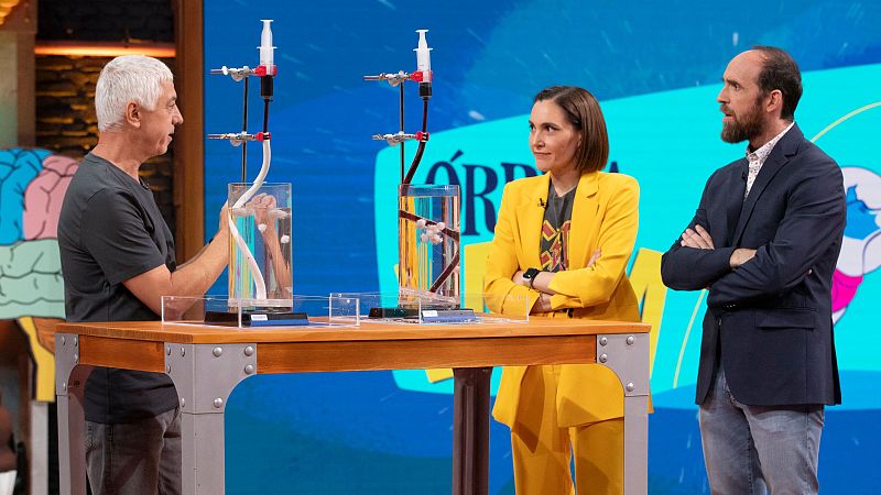 �Puedes decidir no tener hambre? Neurociencia con Xurxo Mari�o - �rbita Laika | Ver