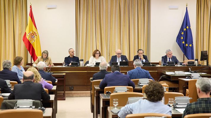 Telediario en lengua de signos - Telediario - 8 horas - 19/11/24 - Lengua de signos