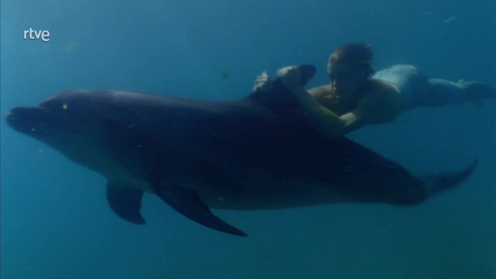 Mantén cerca a tus enemigos - H2O | Ver