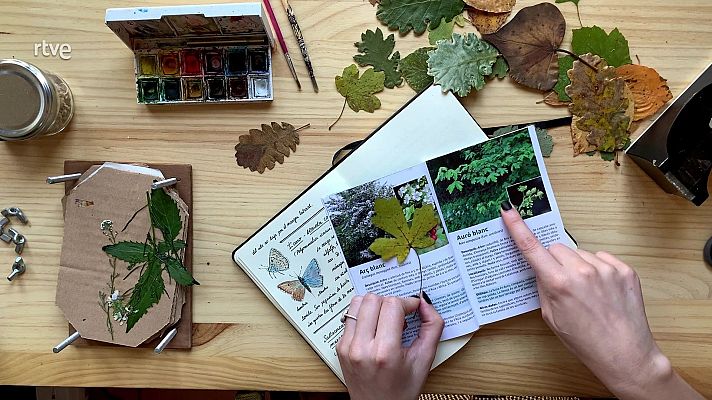 Va de verd - Diari estacional