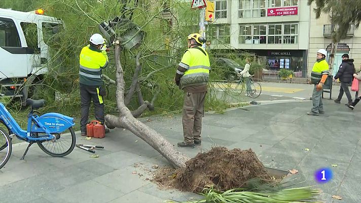 L'Informatiu - L'Informatiu - 20/11/2024