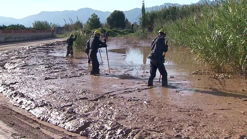 L'Informatiu de la Comunitat Valenciana 2 - 20/11/24 - L'informatiu - Comunitat Valenciana | Ver