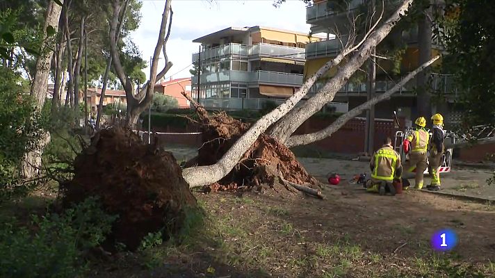 L'Informatiu - L'Informatiu 2 - 20/11/2024