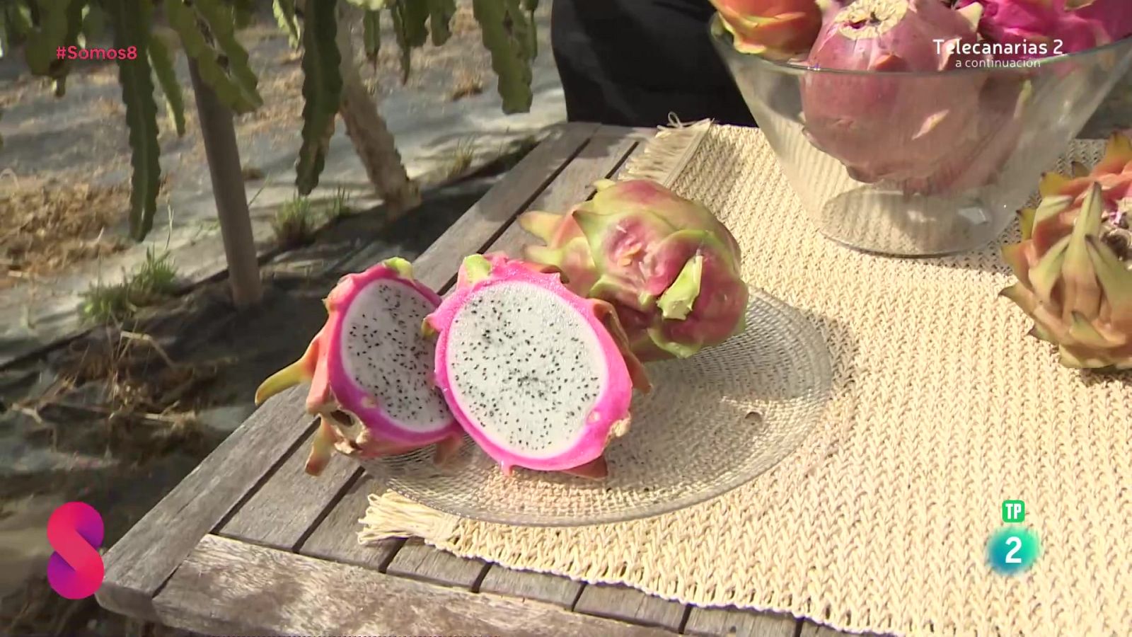 Somos 8 - 20/11/2024 - Somos 8 | Ver