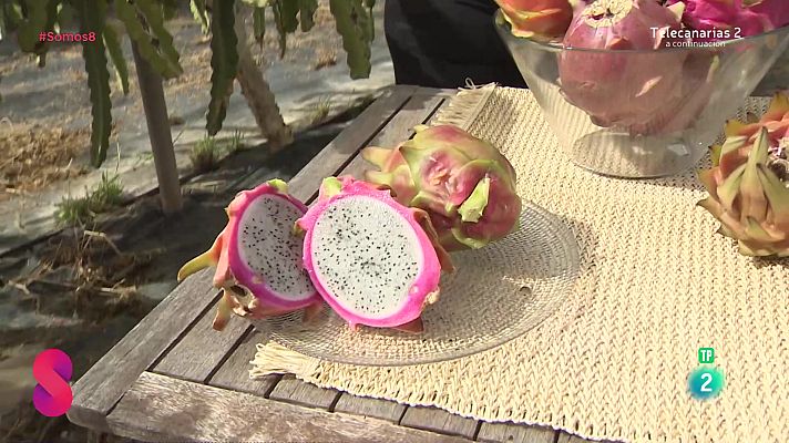 Somos 8 - Somos 8 - 20/11/2024