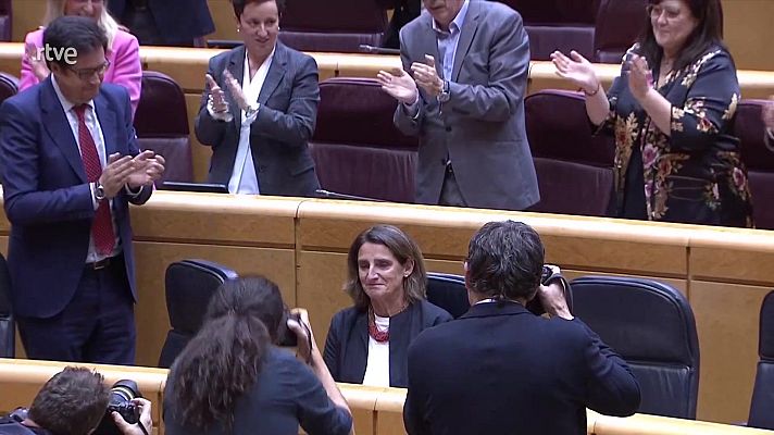 Informativo 24h - Informativo 24 horas - 20h - 20/11/24