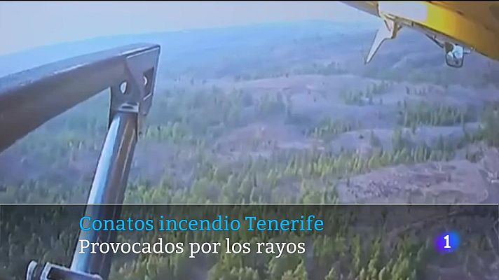 Telecanarias - Telecanarias - 21/11/2024