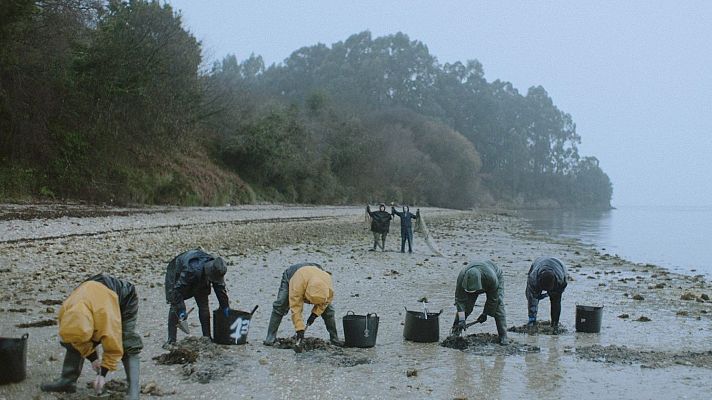 Días de cine - Días de Cine: Prefiro condenarme
