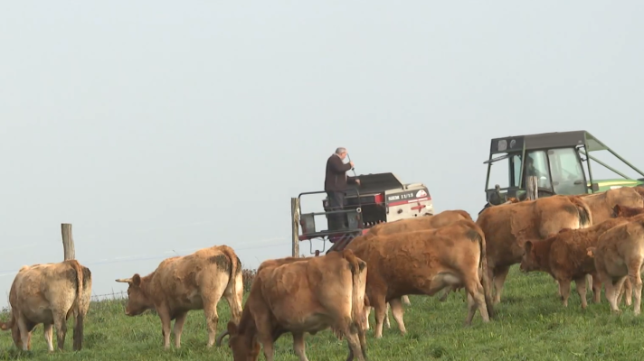 Telediario 1 - Banco de Tierras de la Xunta, el medio de los ganaderos y agricultores para alquilar fincas