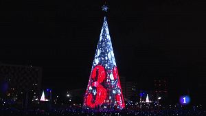 Badalona encn l'arbre nadalenc ms gran de Catalunya