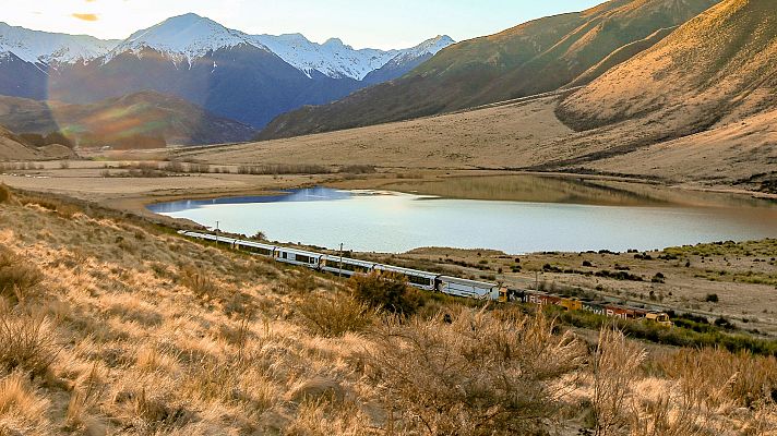 Nueva Zelanda en tren - El costero del Pacífico - El transalpino