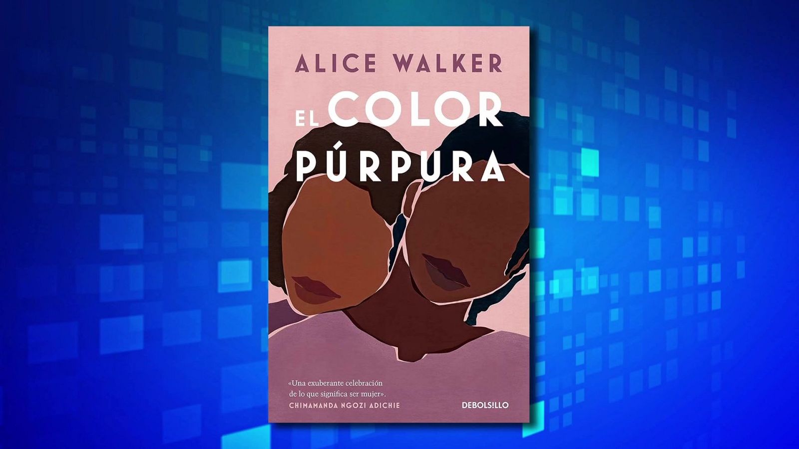 Saber y ganar - 25/11/24 - ver ahora