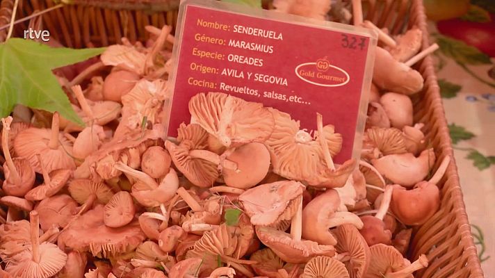 Aquí la Tierra - Aquí la Tierra - 26/11/24