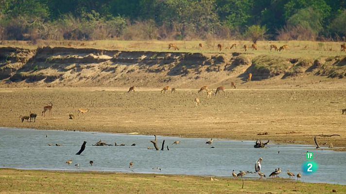 Som Documentals - El viatge de la vida: Lliçons de vida