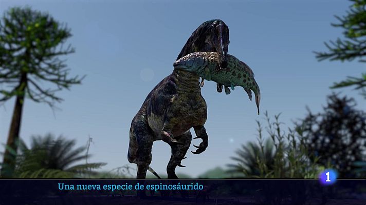 Informativo Telerioja - Informativo Telerioja 2 - 27-11-2024