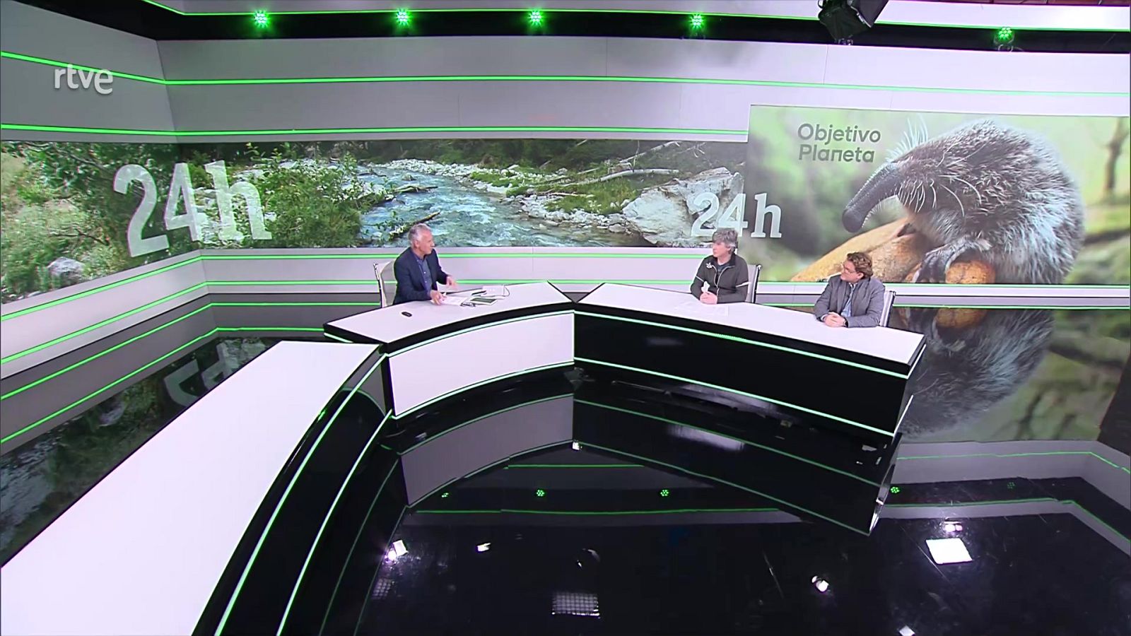 Objetivo Planeta - El declive del singular desmán ibérico - ver ahora