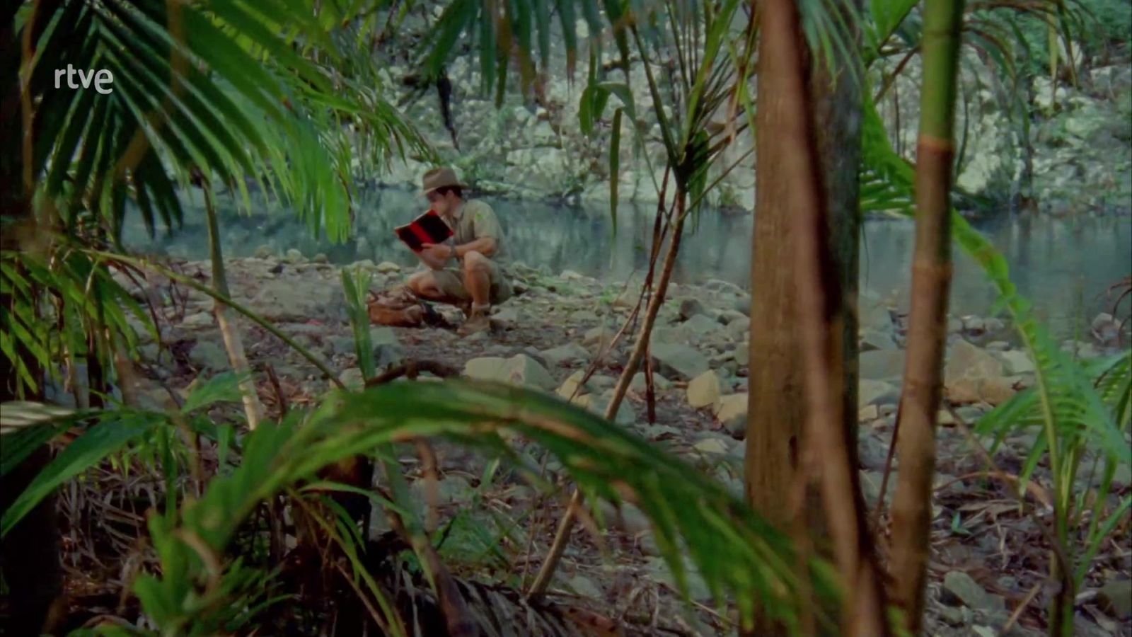 Hacia la luz - H2O | Ver