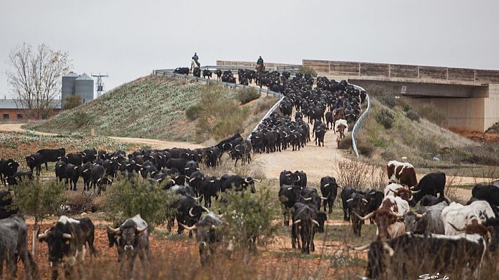 Tendido cero - Tendido Cero - 30/11/24
