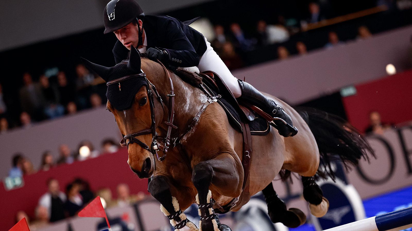 Madrid Horse Week 2024, punto de encuentro del deporte y la industria | Ver