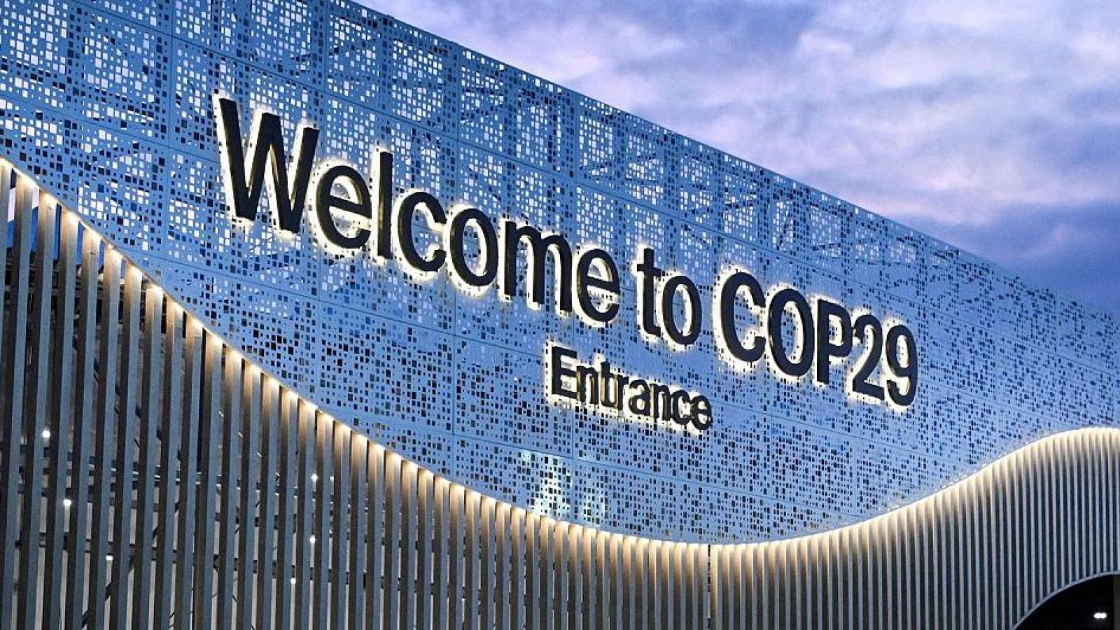 Mar Asunción de WWF España. COP 29 | Ver