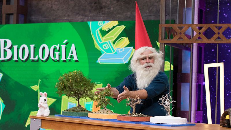 Ciclo vital de los ecosistemas. Biolog�a con Ricardo Moure - �rbita Laika | Ver