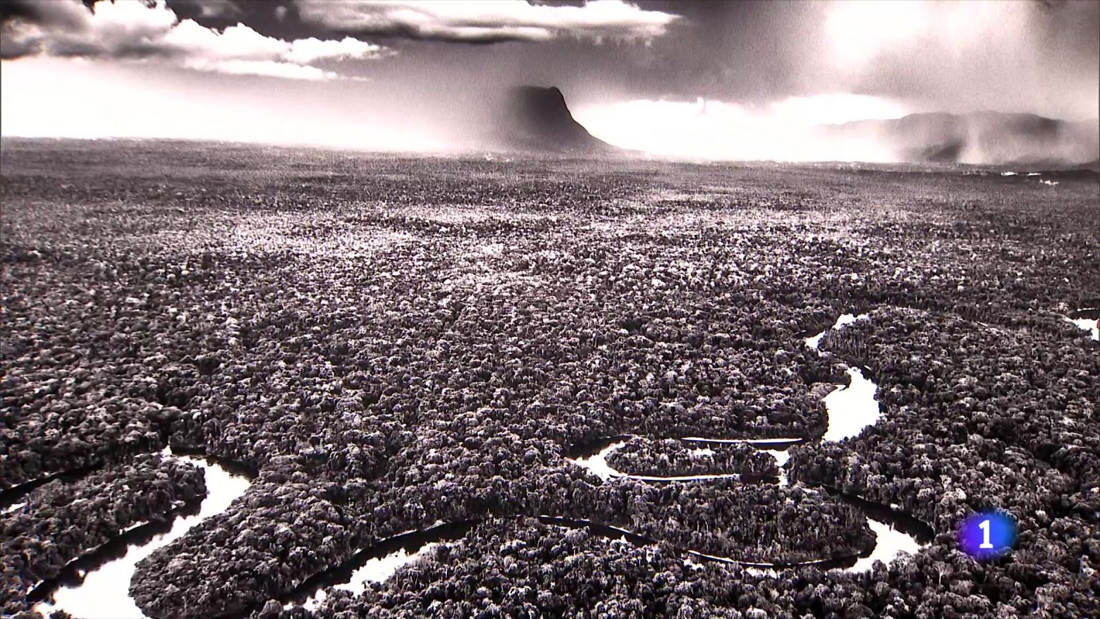 Sebastião Salgado aterra a Barcelona amb l'exposició 'Amazônia' - L'Informatiu | Veure