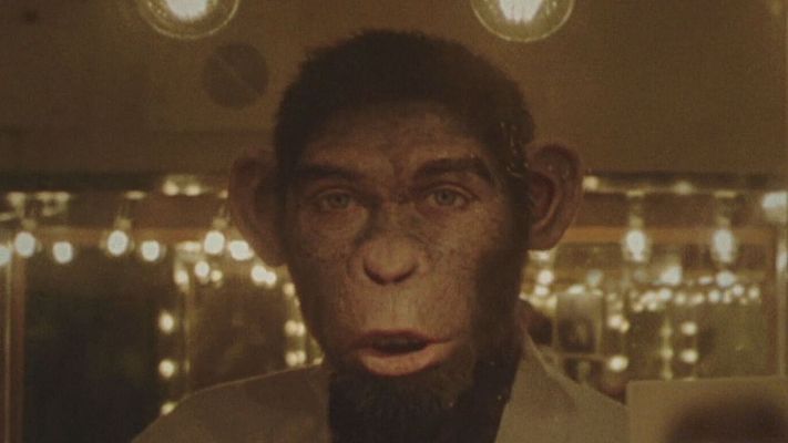 Telediario 1 - 'Better Man' profundiza en la vida de Robbie Williams