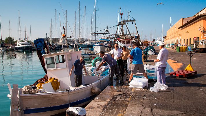 Telediario 1 - Los pescadores muestran su rechazo a la propuesta de la Comisión Europea de reducir los días de pesca