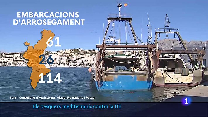 L'informatiu - Comunitat Valenciana - L'Informatiu de la Comunitat Valenciana 2 - 09/12/24