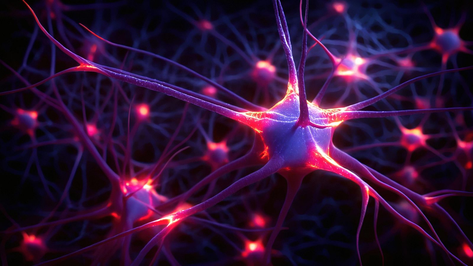 Científicos del CSIC revelan un nuevo hallazgo sobre la dopamina - Telediario 2 | Ver