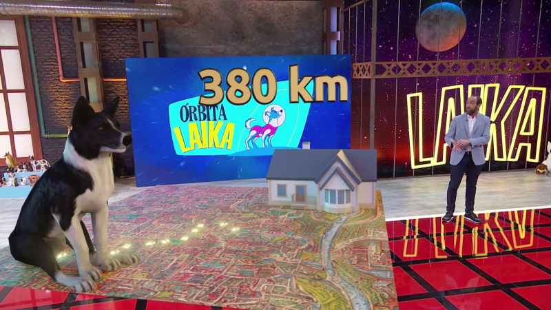 Los supersentidos caninos, con Eduardo S�enz de Cabez�n - �rbita Laika | Ver