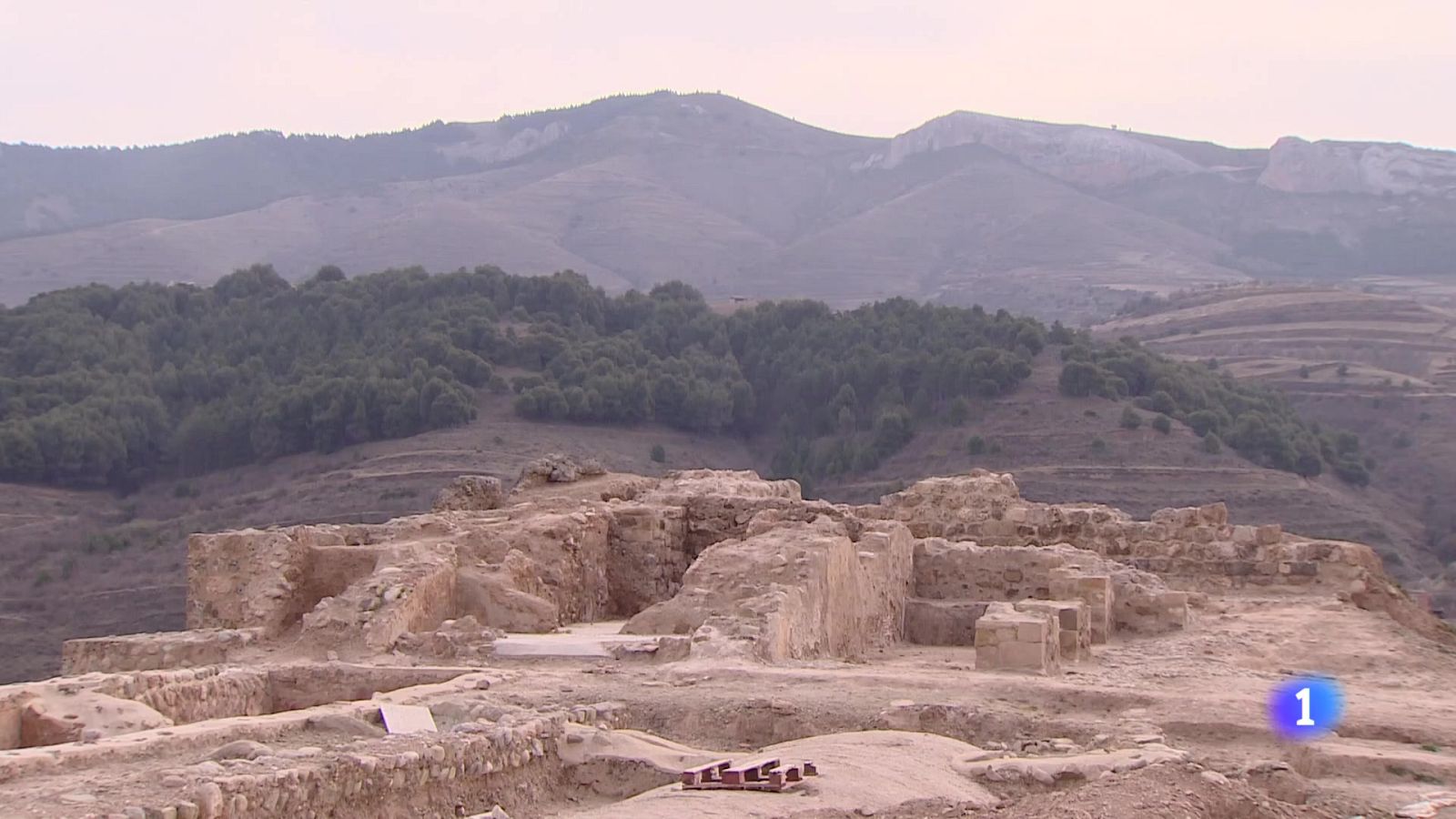 Informativo Telerioja 2 - 10-12-2024 - Informativo Telerioja | Ver