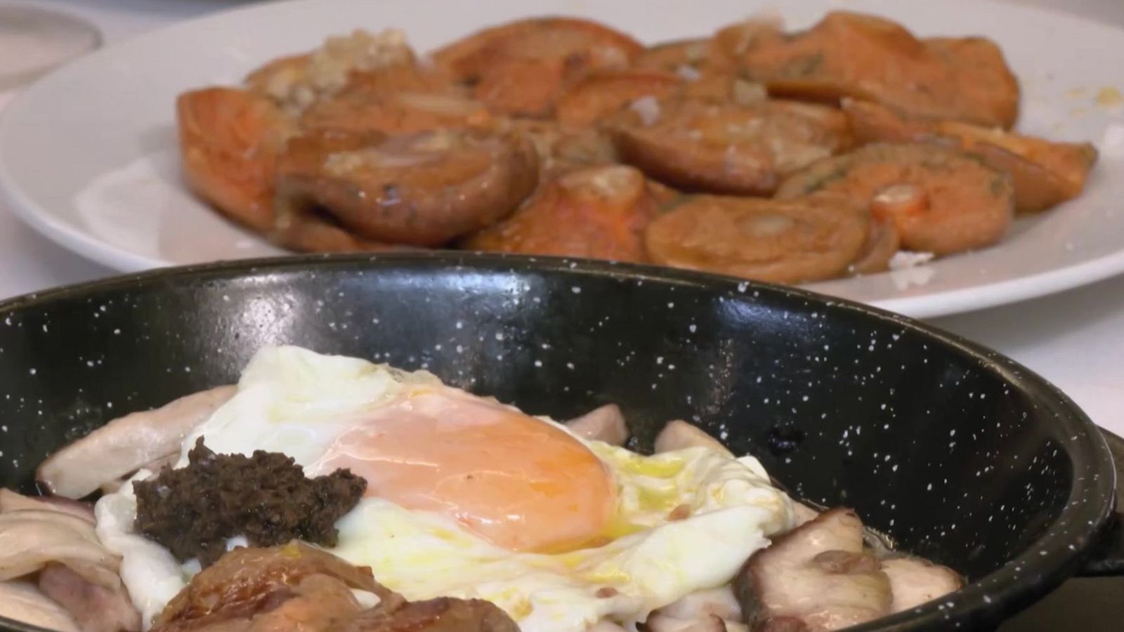 El apasionante mundo de las setas | Ver