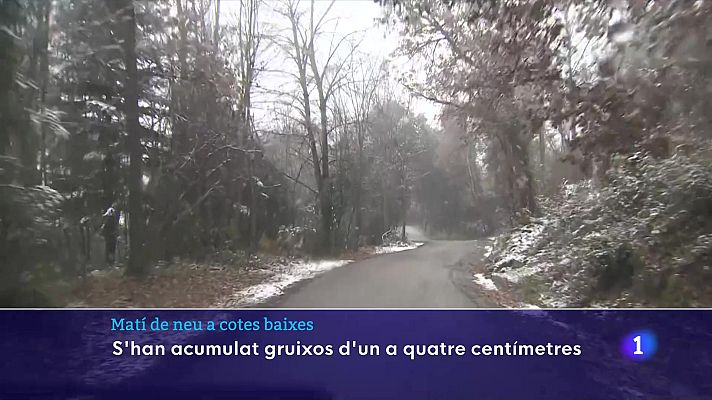 L'Informatiu - La neu emblanquina el paisatge a diversos punts de Catalunya